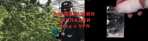 ПСИЛОЦИБИНОВЫЕ ГРИБЫ Абинск