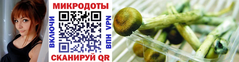 блэк спрут маркетплейс Советск Галлюциногенные грибы Psilocybine cubensis